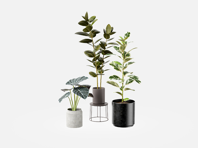 Visune%20-%20Sample%20Plant%20Set_Plant%20Collection
