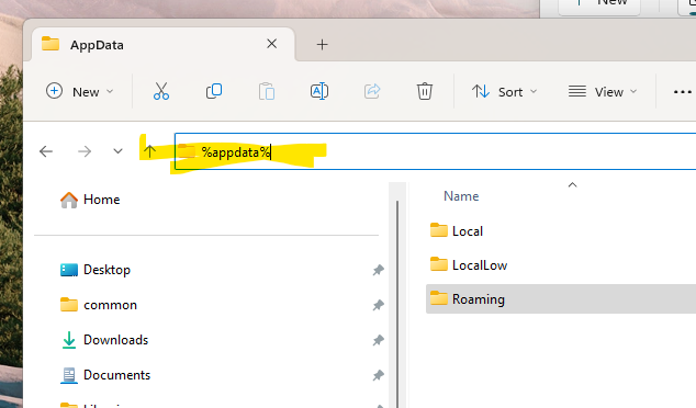 appdata